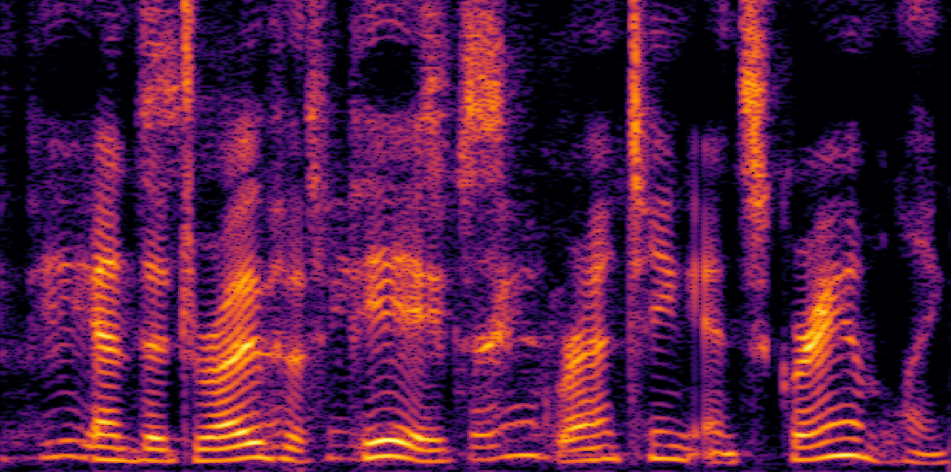 Noisy Input Spectrogram